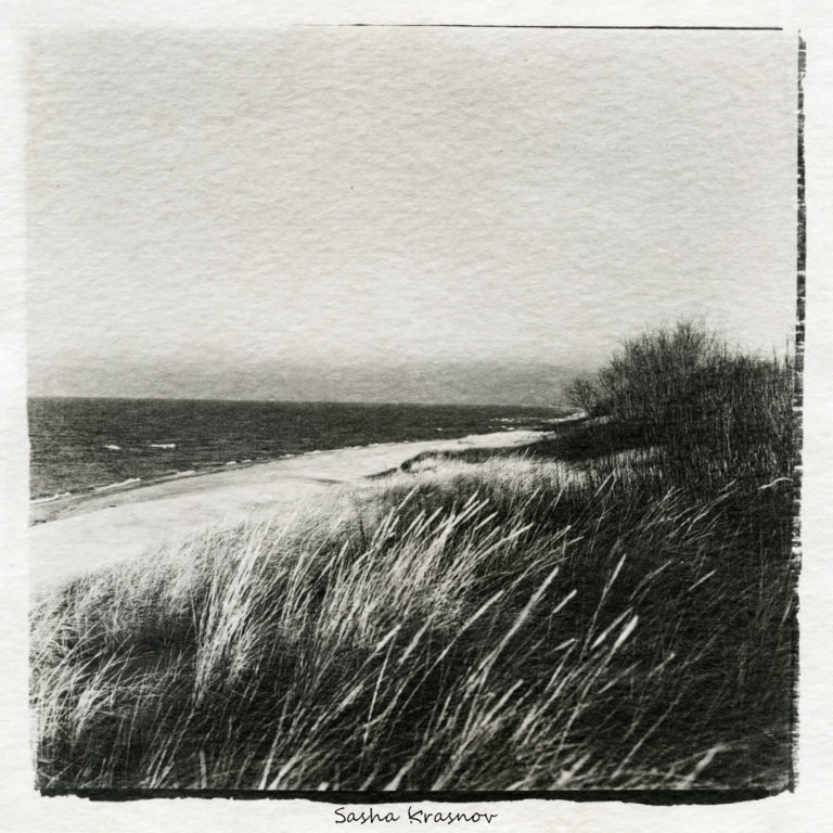 Old grass, Curonian spit. Hahnemuhle Veneto 325g watercolor paper, Fomaspeed liquid photographic emulsion © Sasha Krasnov Photography